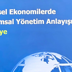 Küresel Ekonomilerde Kurumsal Yönetim Anlayışı ve Türkiye Kitabı